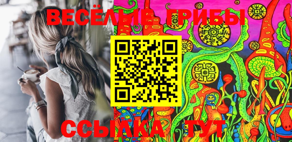 Галлюциногенные грибы Cubensis Воскресенск